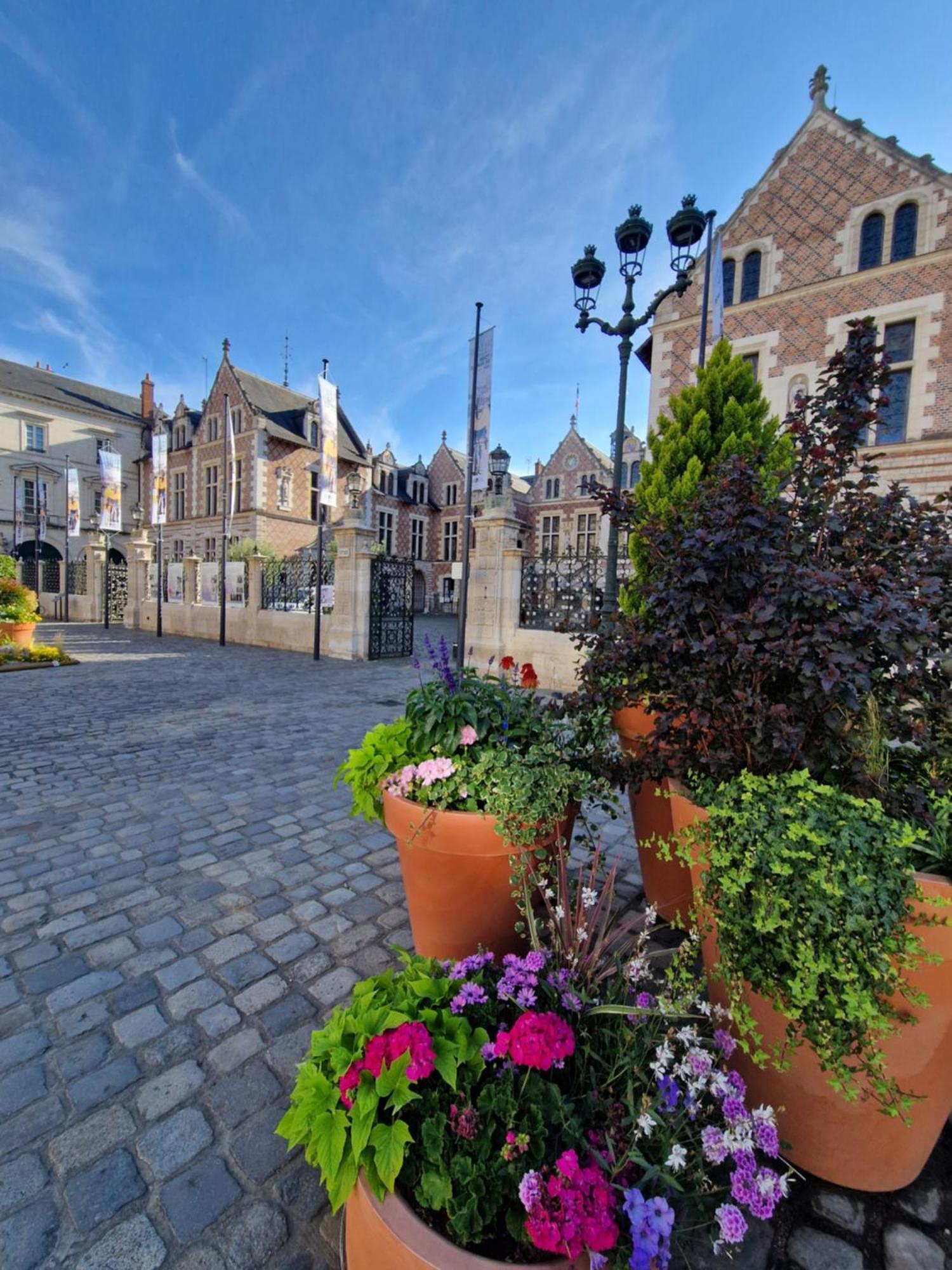 Bnb L'Orleanais Hyper Centre D'Orleans Proche Gare Parking Экстерьер фото